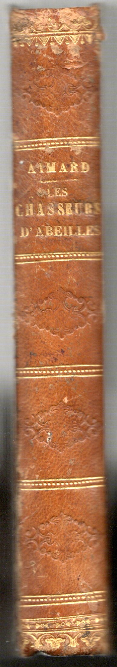 Gustave Aimard - Chasseurs d'abeilles