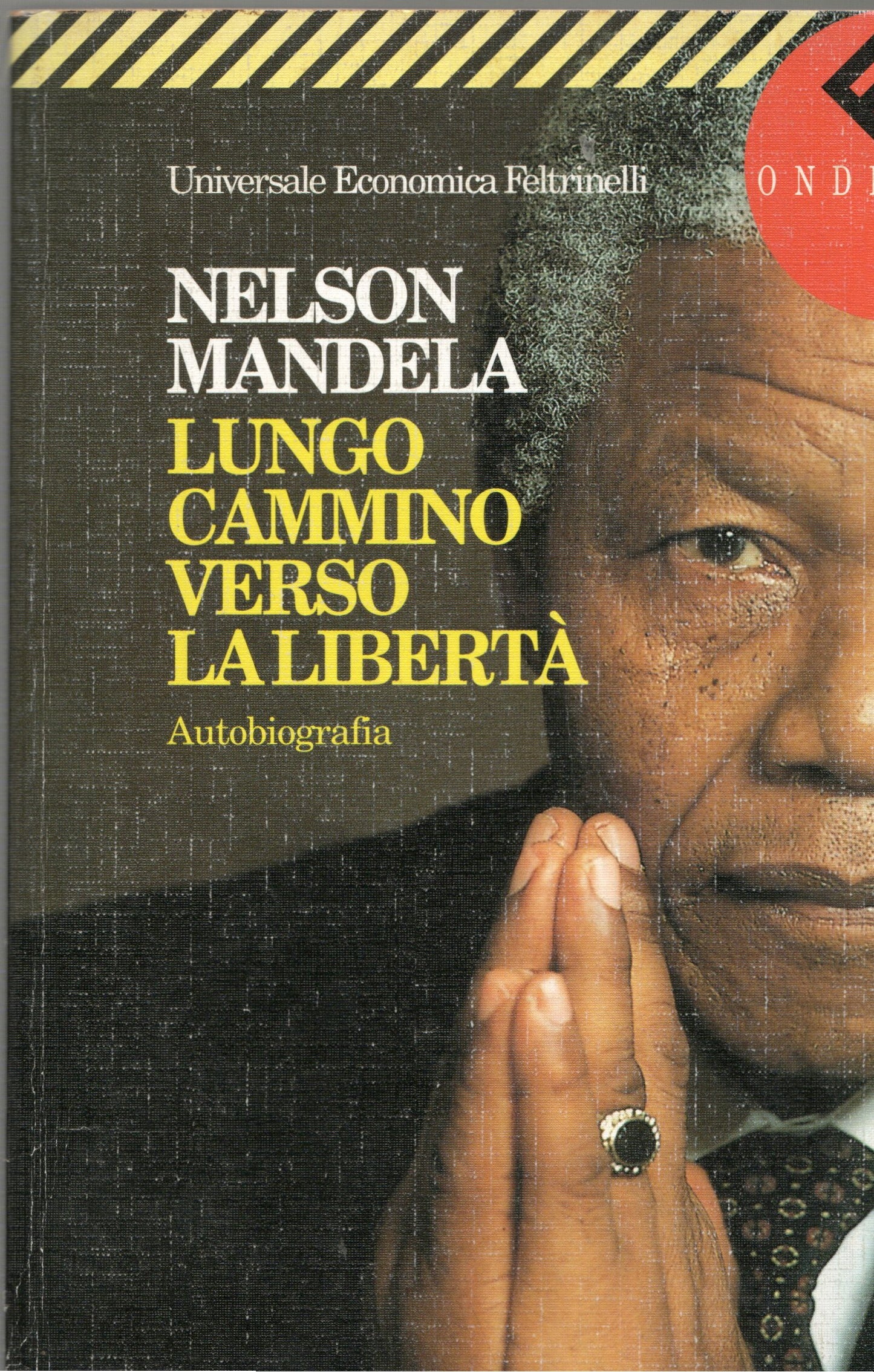 Nelson Mandela - Lungo cammino verso la libertà