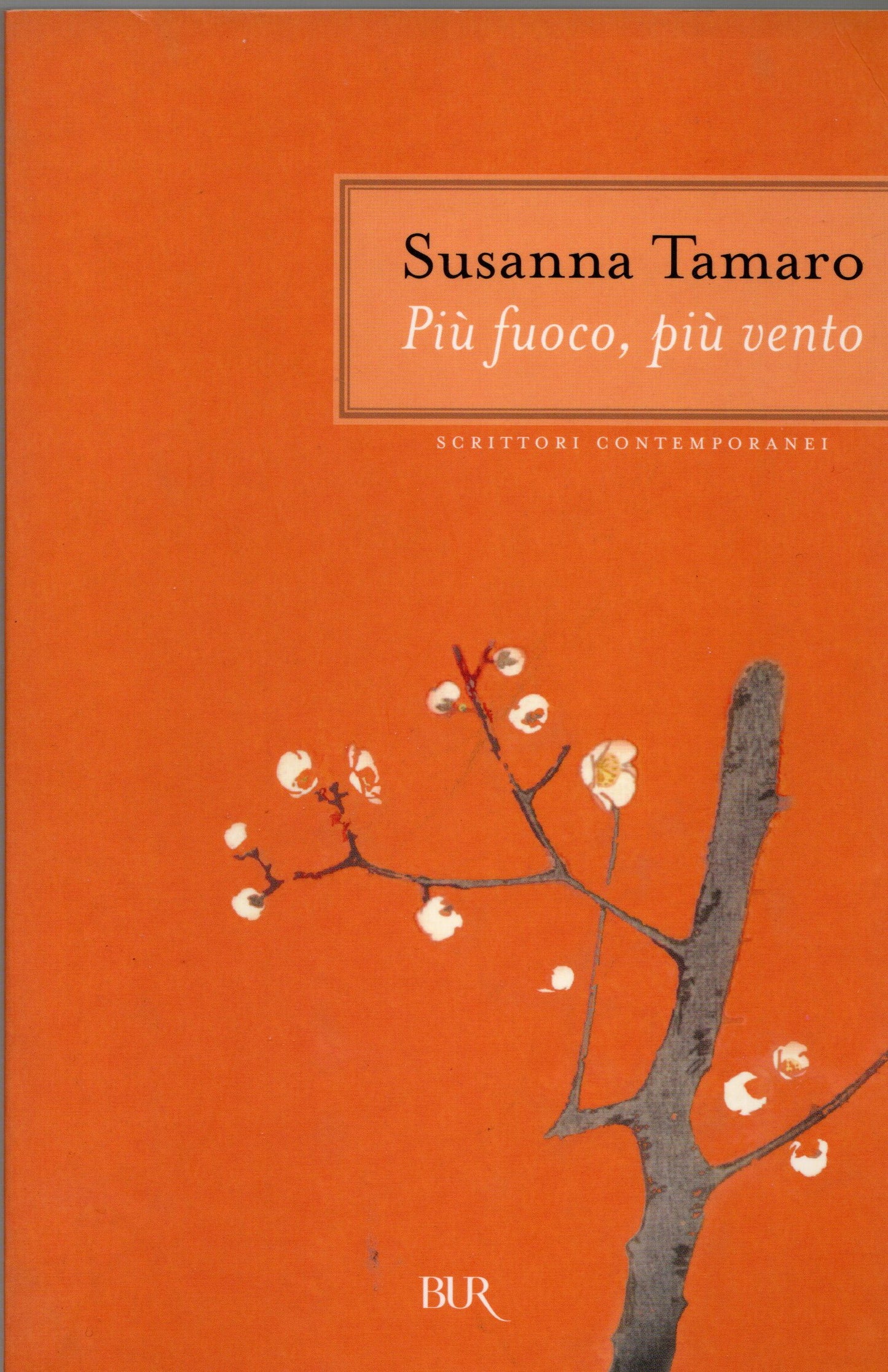 Susanna Tamaro - Più fuoco più vento