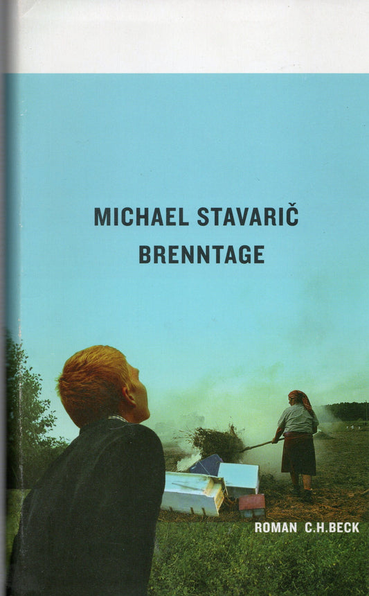 Michael Stavaric - Brenntage