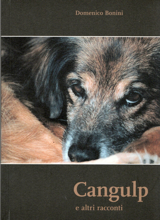 Domenico Bonini - Cangulp