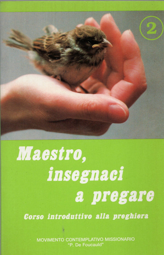 Maestro insegnaci a pregare 2