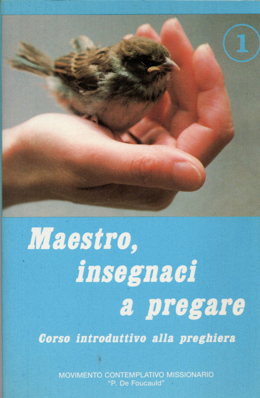 Maestro insegnaci a pregare 1