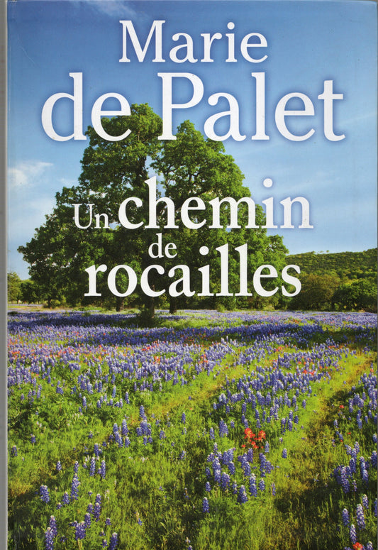Marie de Palet - Un chemin de rocailles